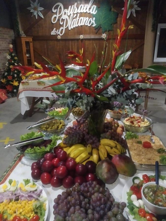 Pousada Dos Platanos Nova Petropolis Ngoại thất bức ảnh